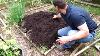A Complete Guide To Digging U0026 Planting Your First Vegetable Garden Tomatoes Peppers U0026 Herbs