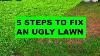How To Fix An Ugly Lawn In 5 Easy Steps