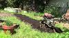 How To Improve Clay Soils For Gardening