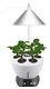 Indoor Hydroponic Plant Grower Garden Organic Cultivator Led Grow Plant Kit