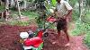 Kamco Kerala Garden Tiller Or Kamco Garden Triller